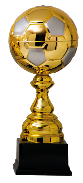 DSAK5150.01, voetbal trofee 310mm