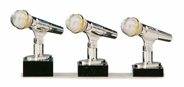 DSAK5180.01, trofee 150mm - Afbeelding 2