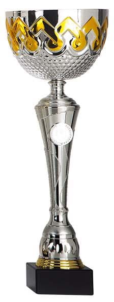 DSAK5570.01, beker 305mm