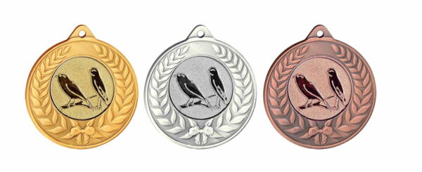 Medaille DSKME44 - 50mm - Afbeelding 2