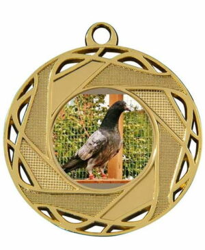 Medaille DSKM132 - 50mm