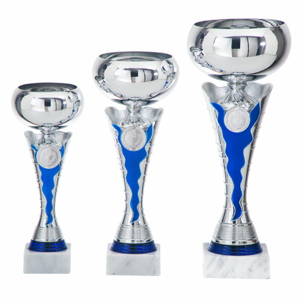 DSAK5005.01, trofee 260mm - Afbeelding 2