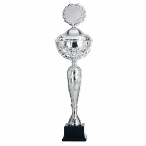 DSAK5092.01, trofee 420mm