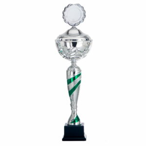 DSAK5094.01, trofee 285mm