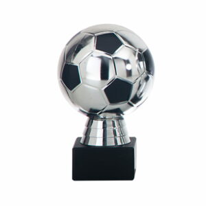 DSAK5635.01, voetbal trofee 140mm