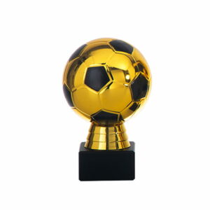 DSAK5637.01, voetbal trofee 140mm