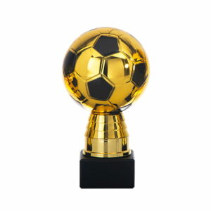 DSAK5637.02, voetbal trofee 160mm