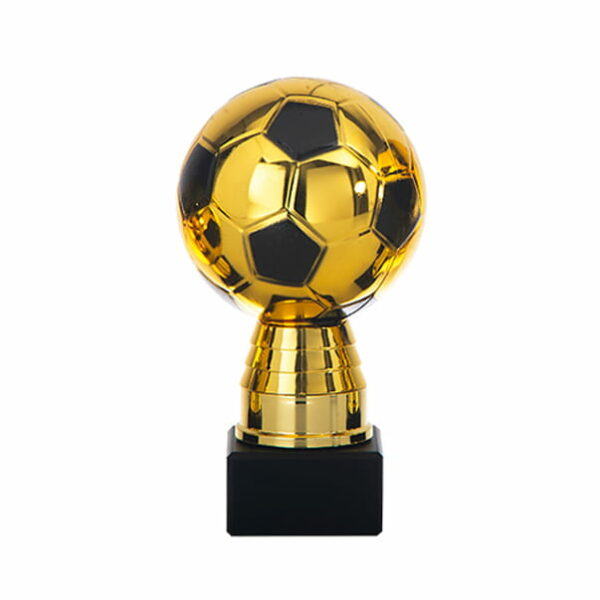 DSAK5637.02, voetbal trofee 160mm