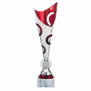DSAS3115.01, beker, 290mm