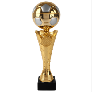 DSAK5422.01, voetbaltrofee 260mm