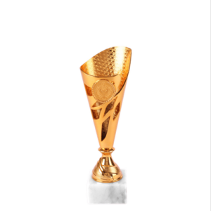 DSAR1441.01, Trofee goudkleur 270mm