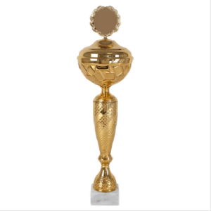 DSAK5082.01, beker 355mm