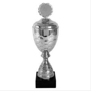 DSAK5161.01, beker 330mm